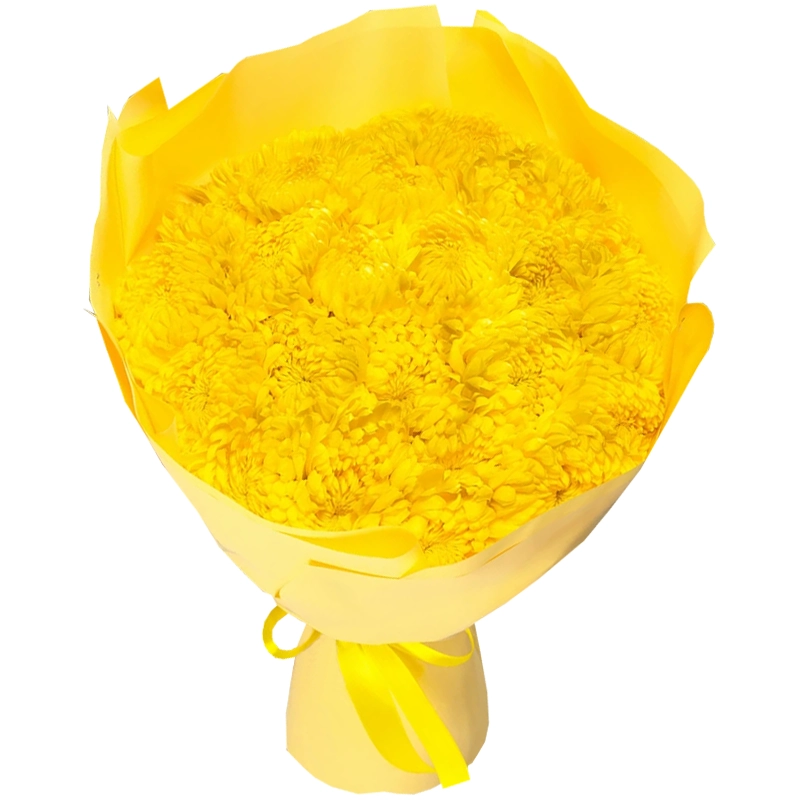 Букет из 25 желтых одноголовых хризантем