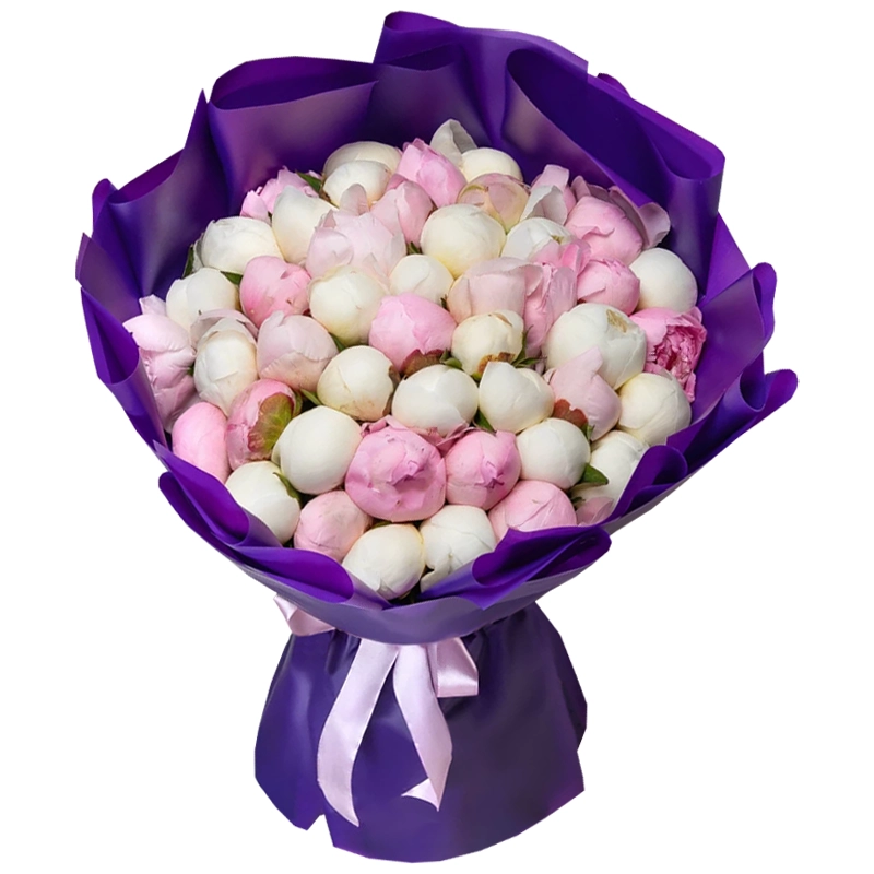 Букет из 51 белого и розового пиона