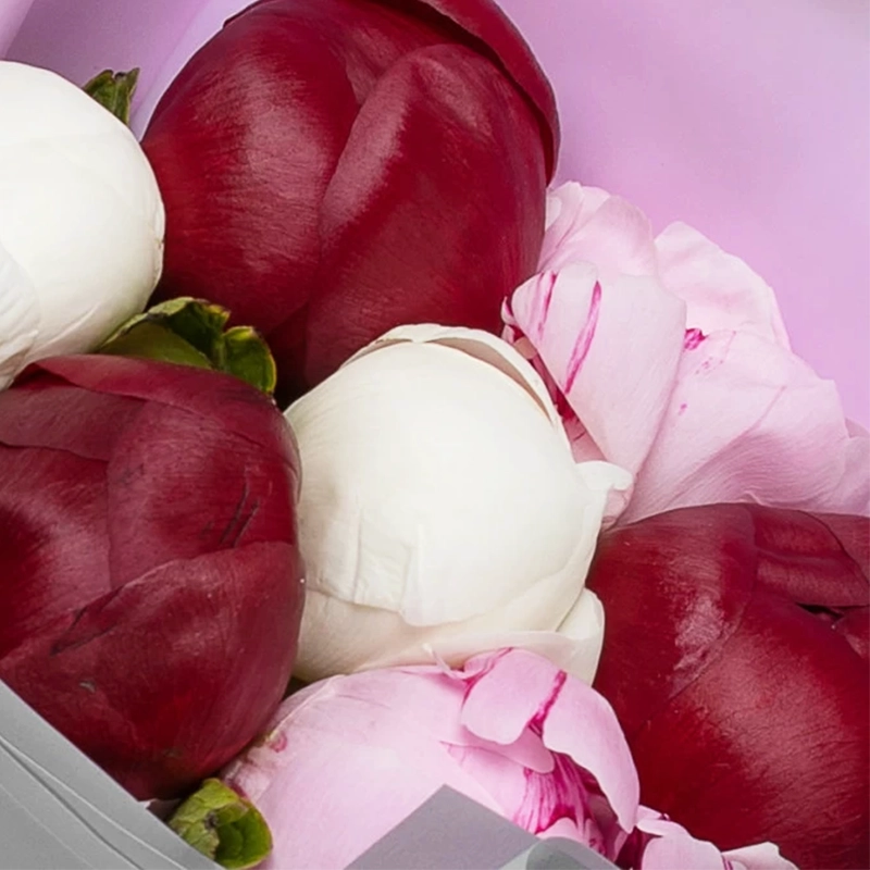 Букет из 7 пионов микс