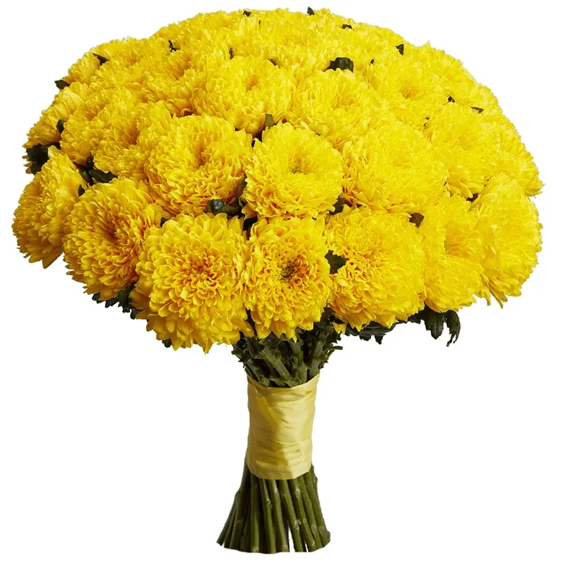 Хризантема одноголовая желтая